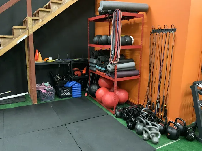 The 14Day Lab Picture 8