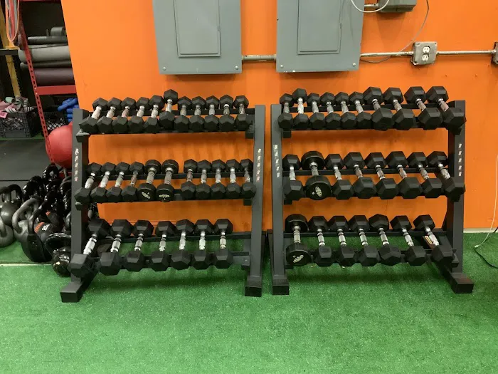 The 14Day Lab Picture 9