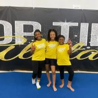 Top Tier Allstars ico