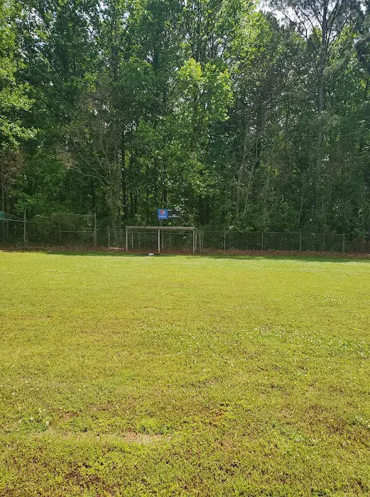 The Jaguar Community Center Picture 6