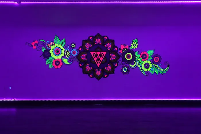 3 Down Dogs Yoga Picture 7