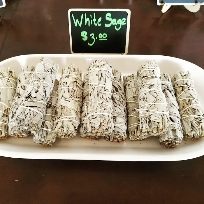 3 Down Dogs Yoga Picture 1