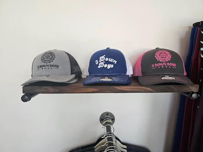 3 Down Dogs Yoga Picture 9