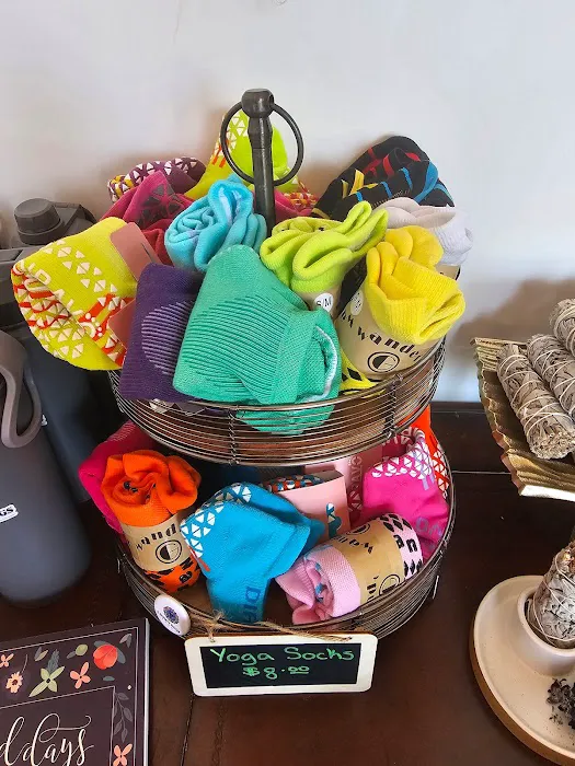 3 Down Dogs Yoga Picture 2