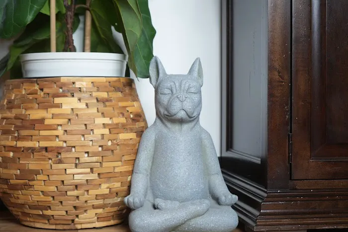 3 Down Dogs Yoga Picture 6