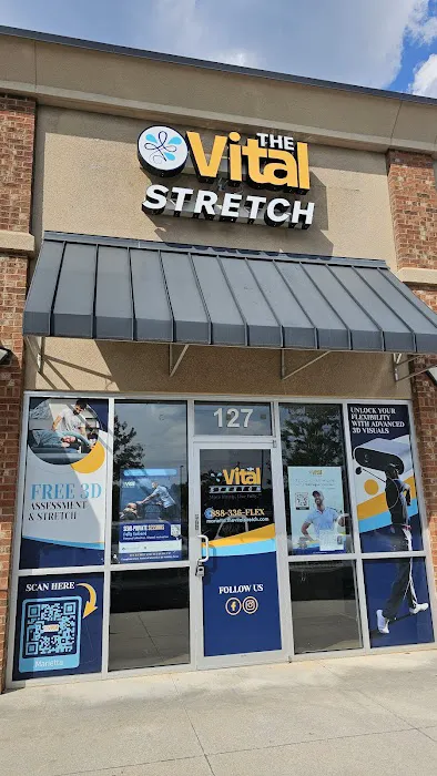 The Vital Stretch Picture 4