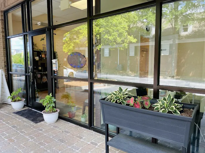 Body & Brain Yoga Tai Chi Picture 8