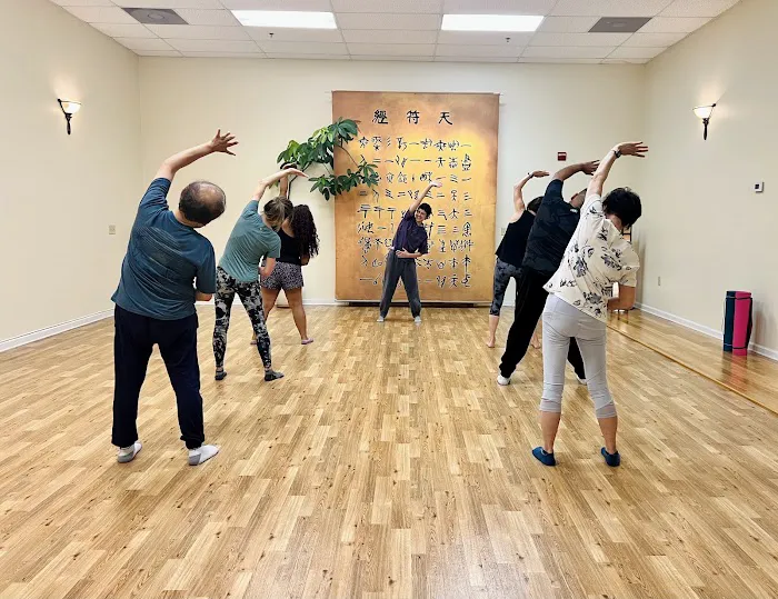 Body & Brain Yoga Tai Chi Picture 1