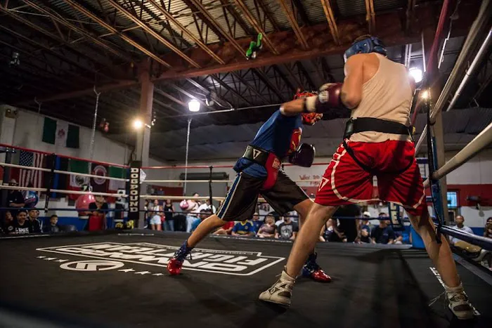 Lugo Boxing & Fitness Picture 3