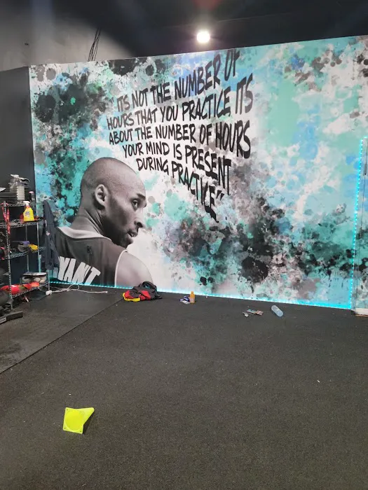 WILLIS PERFORMANCE TRAINING Picture 8