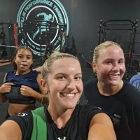 WILLIS PERFORMANCE TRAINING ico