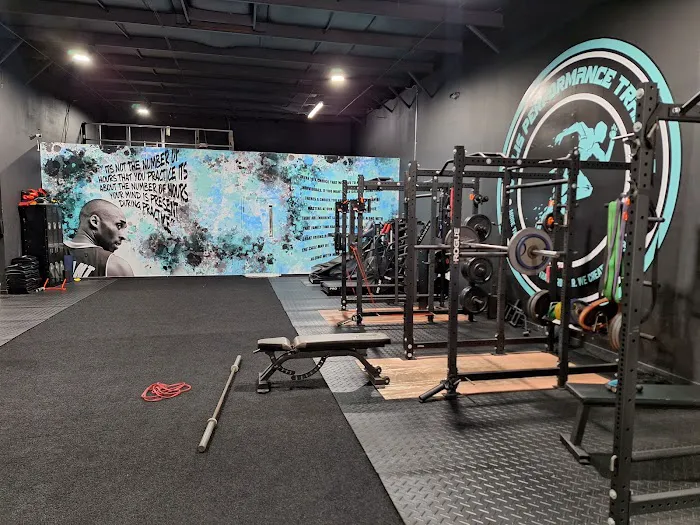 WILLIS PERFORMANCE TRAINING Picture 7