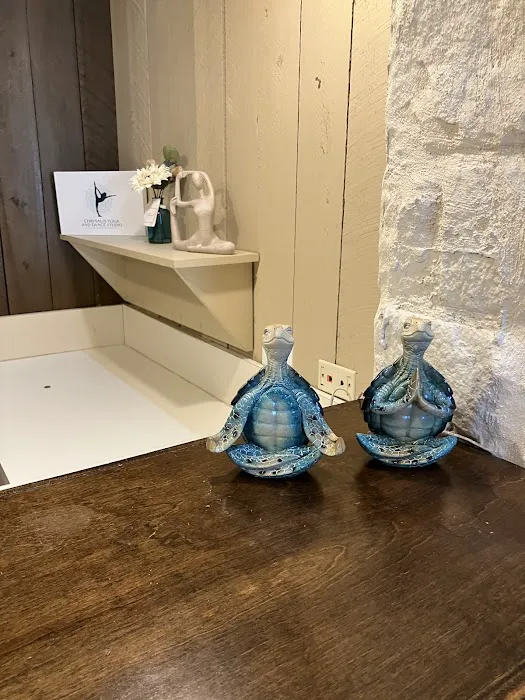 Chrysalis Yoga & Dance Picture 1