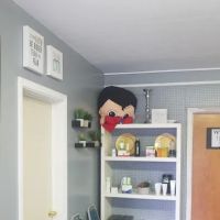 Yes2fit Nutrition ico