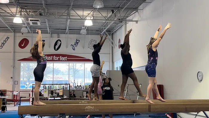 Gym South Gymnastics, Tumbling and Ninja Picture 3