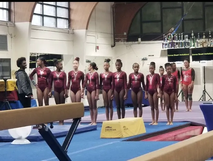 Gym South Gymnastics, Tumbling and Ninja Picture 10