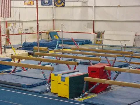 Gym South Gymnastics, Tumbling and Ninja Picture 1