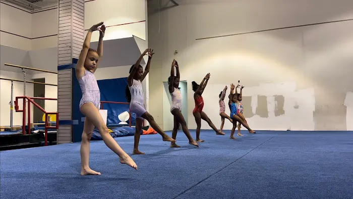 Gym South Gymnastics, Tumbling and Ninja Picture 4