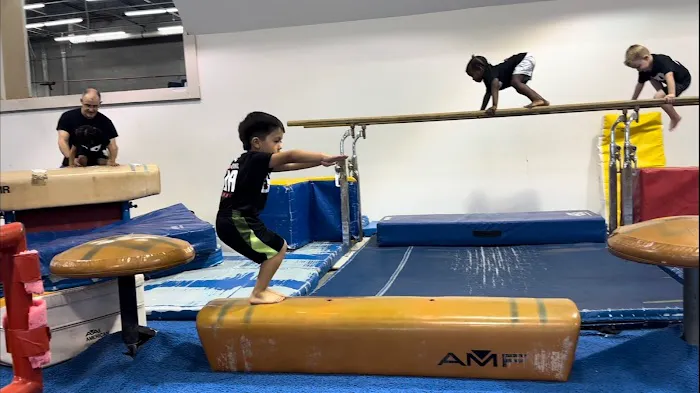 Gym South Gymnastics, Tumbling and Ninja Picture 8