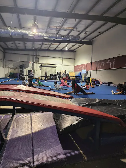 Flip City South Tumblers Picture 5