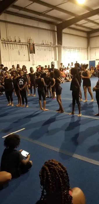 Flip City South Tumblers Picture 9