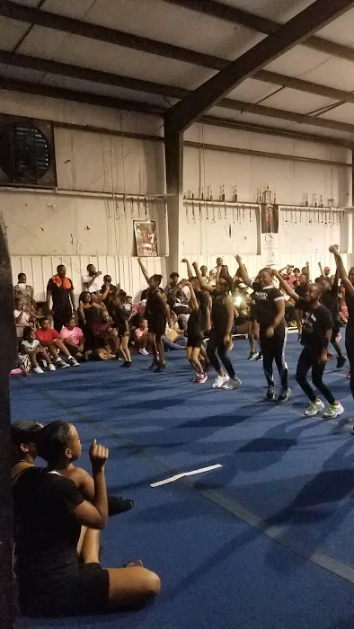 Flip City South Tumblers Picture 10