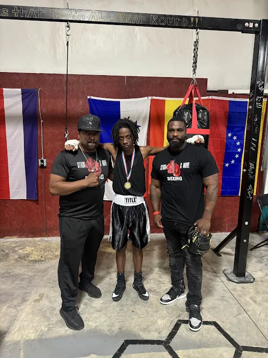 Stick & Move Boxing Academy Picture 4