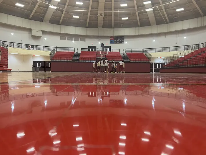 The Tribe Arena Picture 6