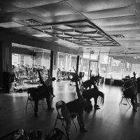 GIT DIS WERK STUDIO ico