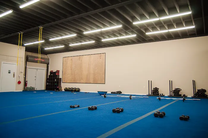 Flex Body Shop Picture 9