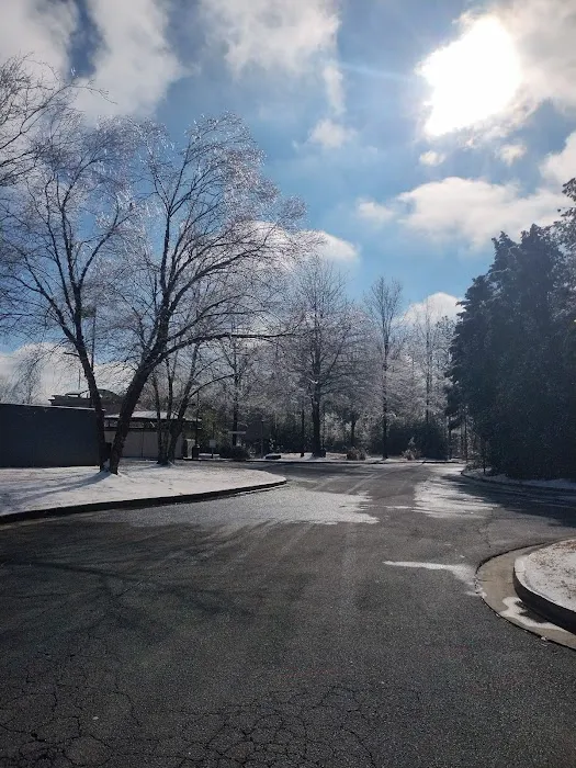 Planet Fitness Picture 4