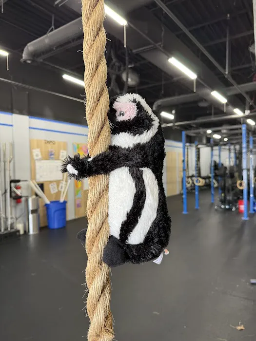 CrossFit Koinonia Picture 5