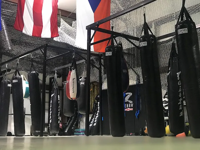 Striker Fight Center Picture 2