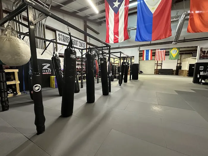 Striker Fight Center Picture 7
