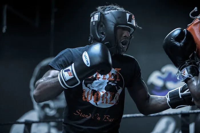 Billion Dollar Boxing Picture 5