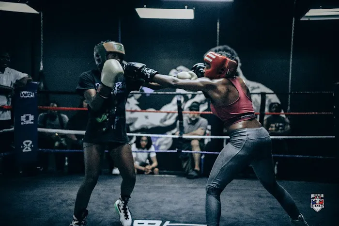 Billion Dollar Boxing Picture 3