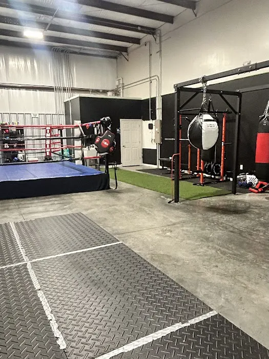 Body Rock Boxing Picture 5