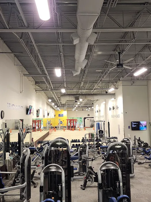 HiTONE Fitness Picture 10