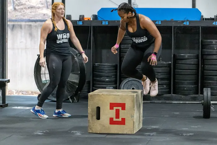 CrossFit Elect Picture 8