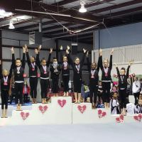 Stick It Gymnastics GA ico