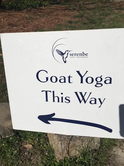 Serenbe Yoga + Bodyworks Picture 1