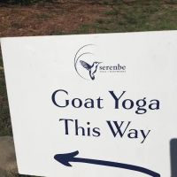 Serenbe Yoga + Bodyworks ico