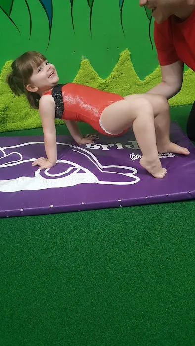 Gwinnett Gymnastics Center Picture 1