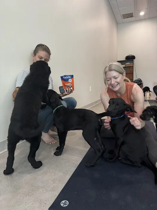 Mindful Owl Yoga Picture 9