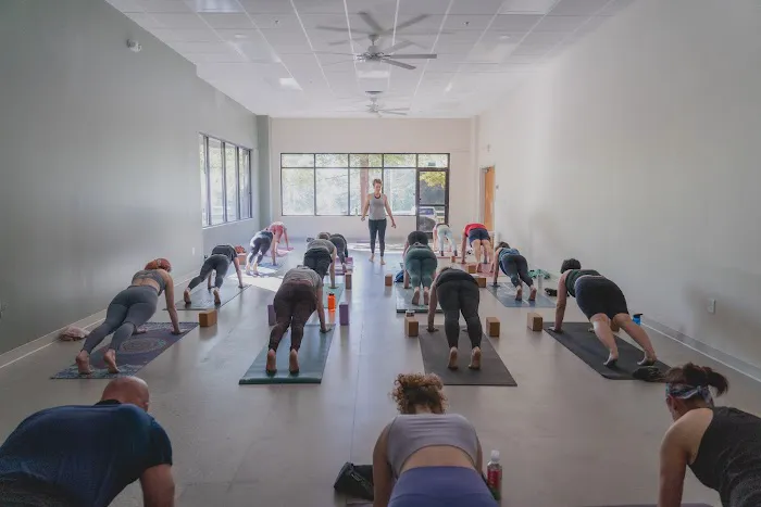 Mindful Owl Yoga Picture 4