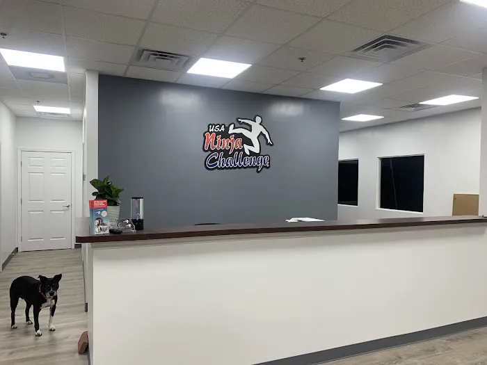 USA Ninja Challenge Picture 5