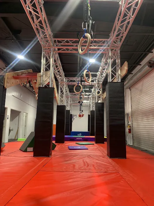 USA Ninja Challenge Picture 2