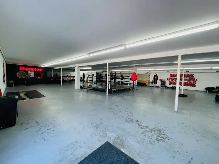 Dog House Boxing and Fitness LLC Picture 9