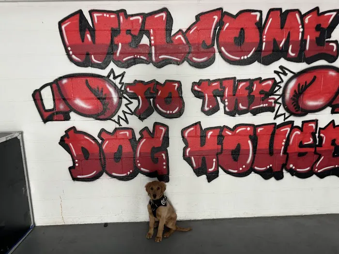 Dog House Boxing and Fitness LLC Picture 6