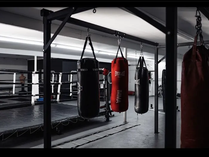 Dog House Boxing and Fitness LLC Picture 2